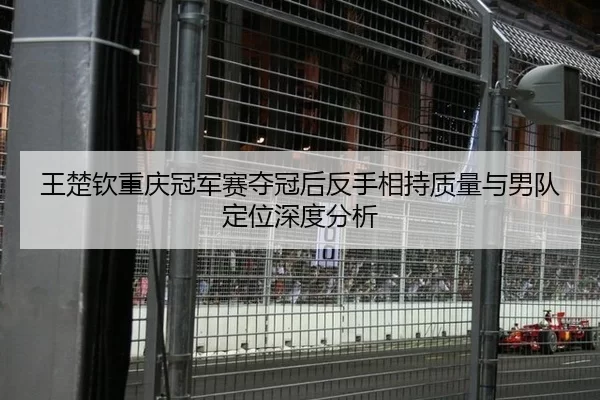 王楚钦重庆冠军赛夺冠后反手相持质量与男队定位深度分析